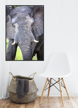 Load image into Gallery viewer, Big Guy