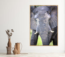 Load image into Gallery viewer, Big Guy