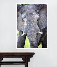 Load image into Gallery viewer, Big Guy