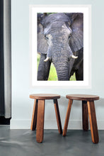 Load image into Gallery viewer, Big Guy