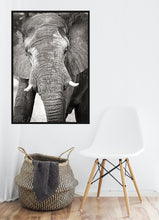 Load image into Gallery viewer, Big Guy BW