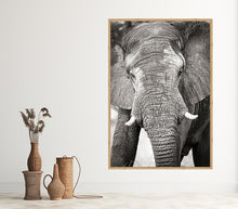 Load image into Gallery viewer, Big Guy BW