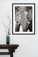 Load image into Gallery viewer, Big Guy