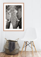 Load image into Gallery viewer, Big Guy