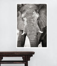 Load image into Gallery viewer, Big Guy BW