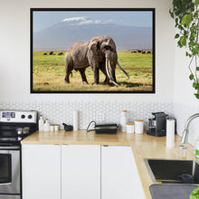 Load image into Gallery viewer, Big Tim