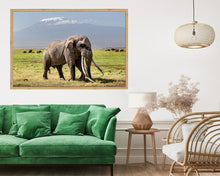 Load image into Gallery viewer, Big Tim