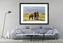 Load image into Gallery viewer, Big Tim