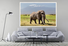 Load image into Gallery viewer, Big Tim