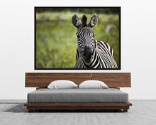 Load image into Gallery viewer, Curiosity