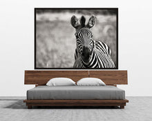 Load image into Gallery viewer, Curiosity BW