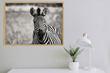 Load image into Gallery viewer, Curiosity BW