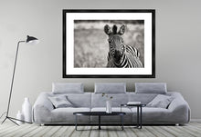 Load image into Gallery viewer, Curiosity BW