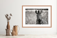 Load image into Gallery viewer, Curiosity BW