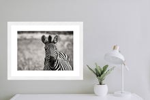 Load image into Gallery viewer, Curiosity BW