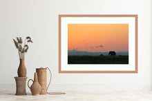 Load image into Gallery viewer, Elephants at Sunset