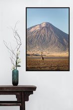 Load image into Gallery viewer, Giraffe in golden light