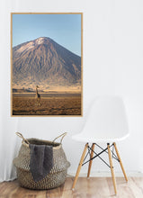 Load image into Gallery viewer, Giraffe in golden light