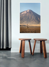 Load image into Gallery viewer, Giraffe in golden light