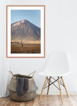 Load image into Gallery viewer, Giraffe in golden light