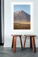 Load image into Gallery viewer, Giraffe in golden light