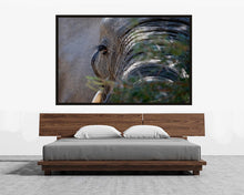 Load image into Gallery viewer, Mr Lashes