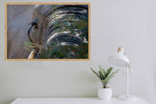 Load image into Gallery viewer, Mr Lashes