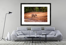 Load image into Gallery viewer, Mud Bath