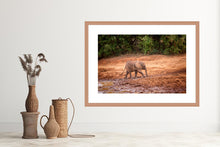 Load image into Gallery viewer, Mud Bath