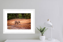 Load image into Gallery viewer, Mud Bath