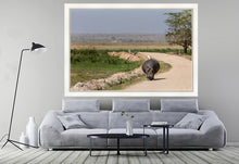 Load image into Gallery viewer, The hitch-hiker