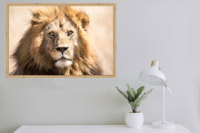 Load image into Gallery viewer, The King