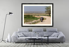 Load image into Gallery viewer, The hitch-hiker