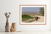 Load image into Gallery viewer, The hitch-hiker