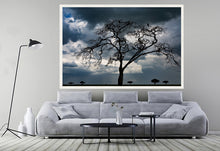 Load image into Gallery viewer, Tree of death