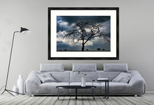 Load image into Gallery viewer, Tree of death