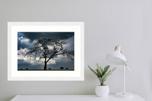 Load image into Gallery viewer, Tree of death