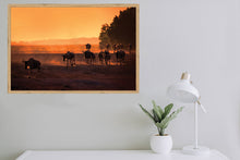 Load image into Gallery viewer, Wildebeest Migration