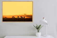 Load image into Gallery viewer, Wildebeest in Amboseli