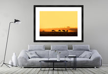 Load image into Gallery viewer, Wildebeest in Amboseli