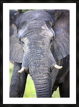 Load image into Gallery viewer, Big Guy