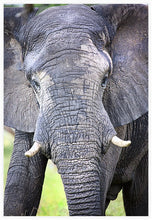 Load image into Gallery viewer, Big Guy