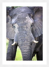 Load image into Gallery viewer, Big Guy