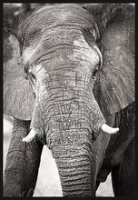 Load image into Gallery viewer, Big Guy BW