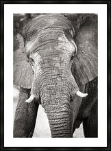 Load image into Gallery viewer, Big Guy BW