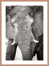 Load image into Gallery viewer, Big Guy BW