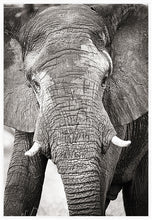 Load image into Gallery viewer, Big Guy BW