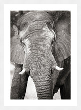 Load image into Gallery viewer, Big Guy BW