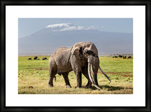 Load image into Gallery viewer, Big Tim