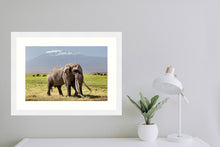 Load image into Gallery viewer, Big Tim